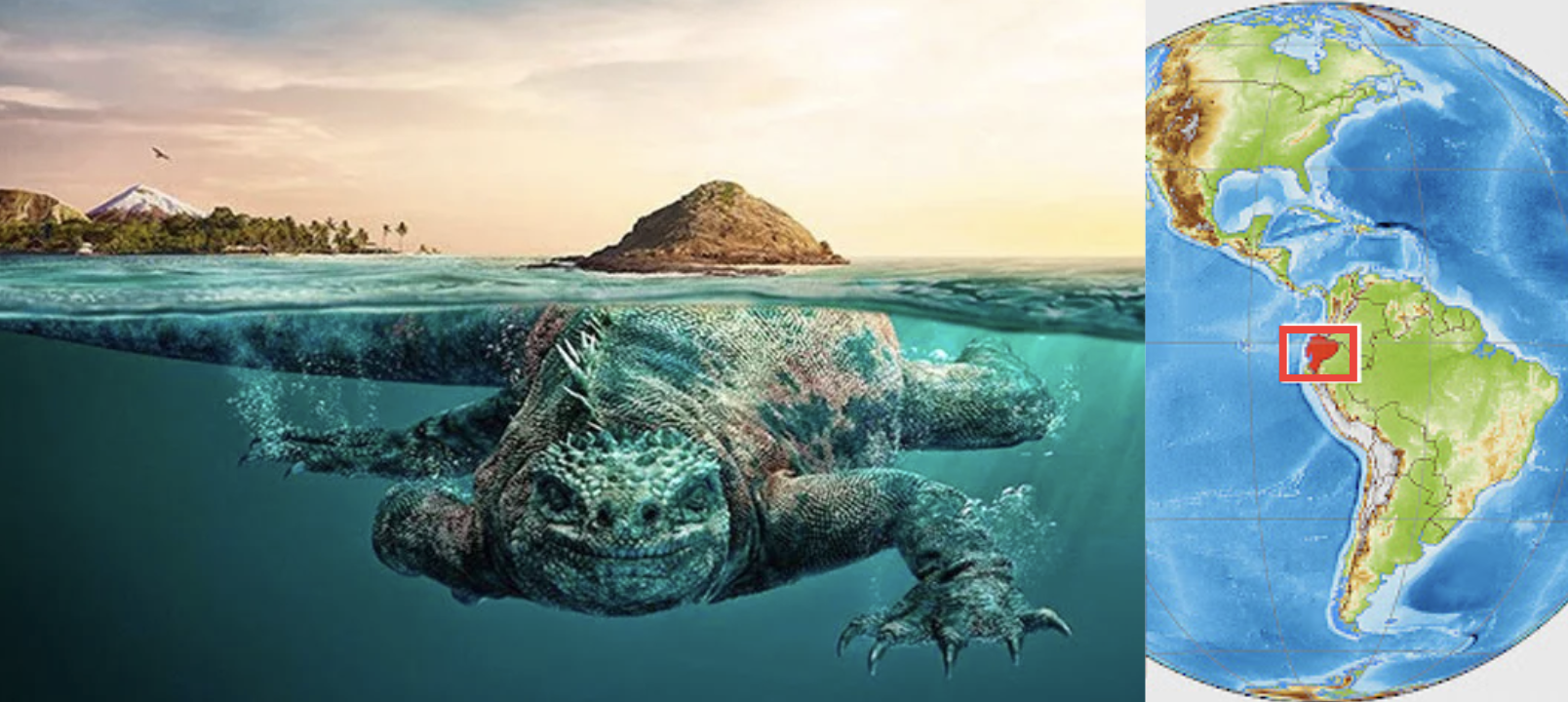 Image representing 